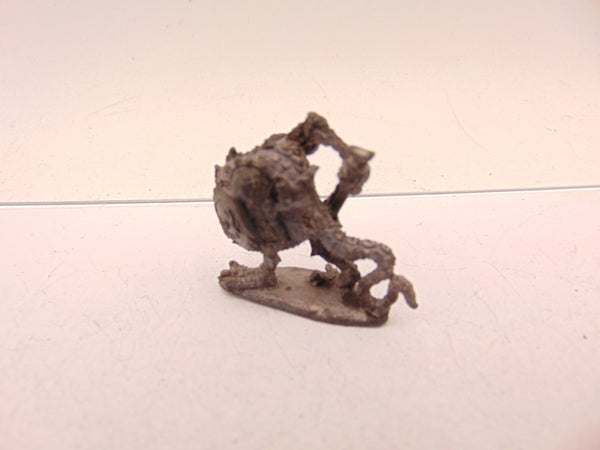 Troglodyte