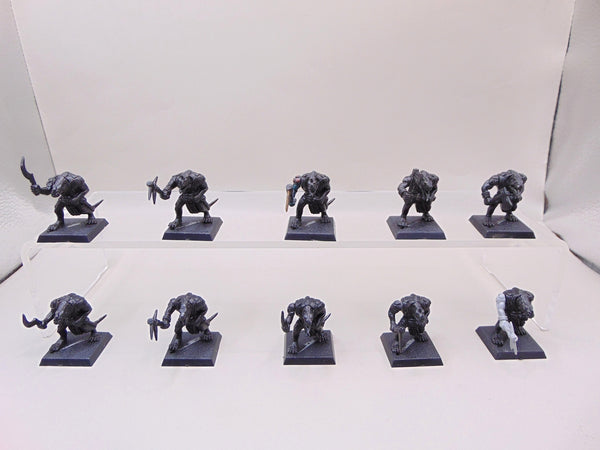 Saurus Warriors