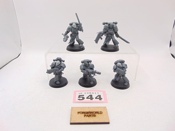 Red Corsairs Raiders