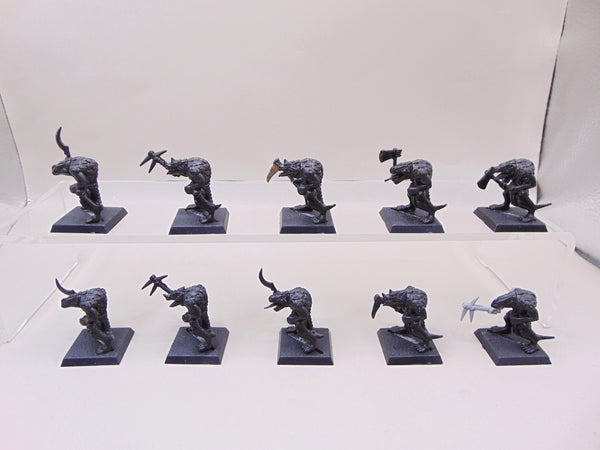 Saurus Warriors