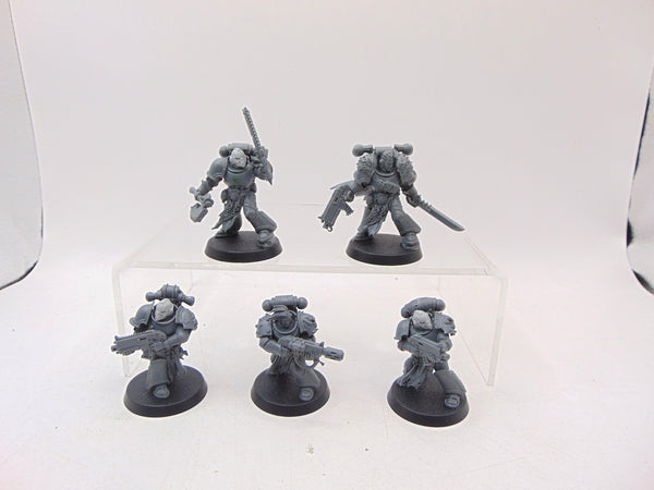 Red Corsairs Raiders