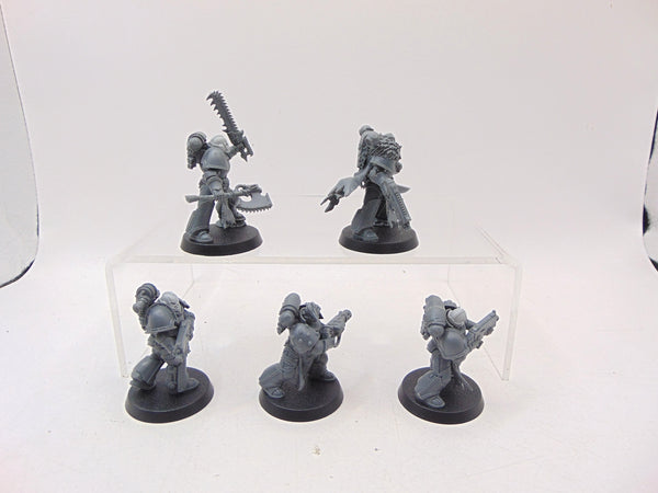 Red Corsairs Raiders