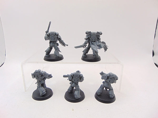 Red Corsairs Raiders