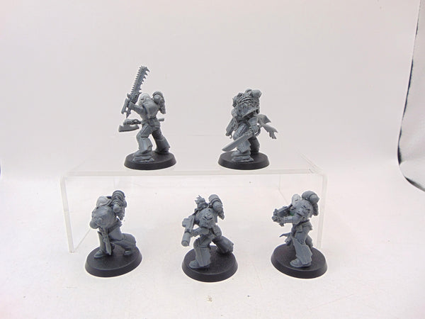 Red Corsairs Raiders