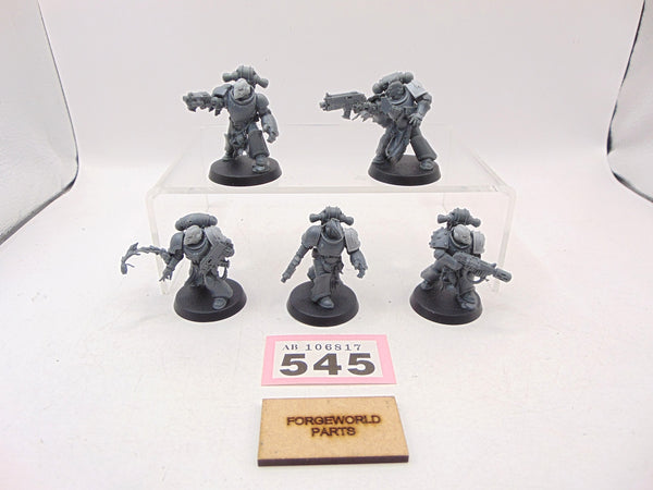Red Corsairs Raiders