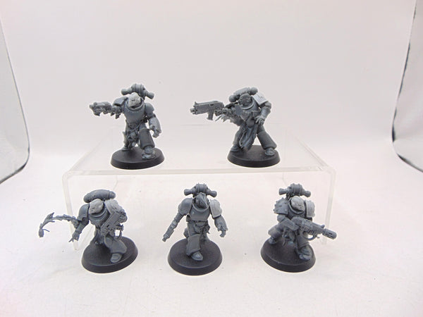 Red Corsairs Raiders