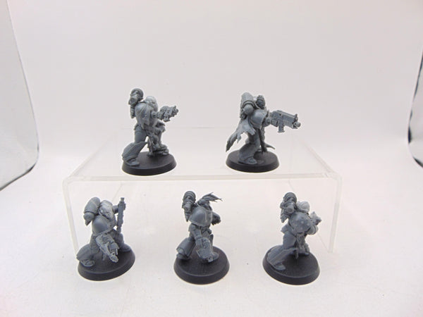 Red Corsairs Raiders