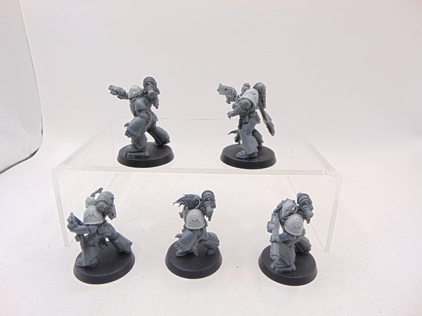 Red Corsairs Raiders