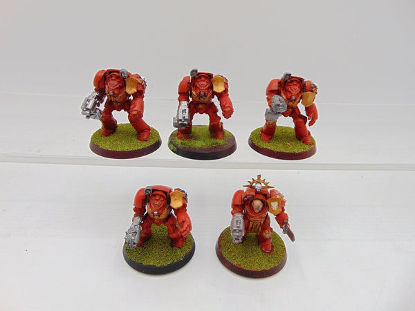 Terminator Squad