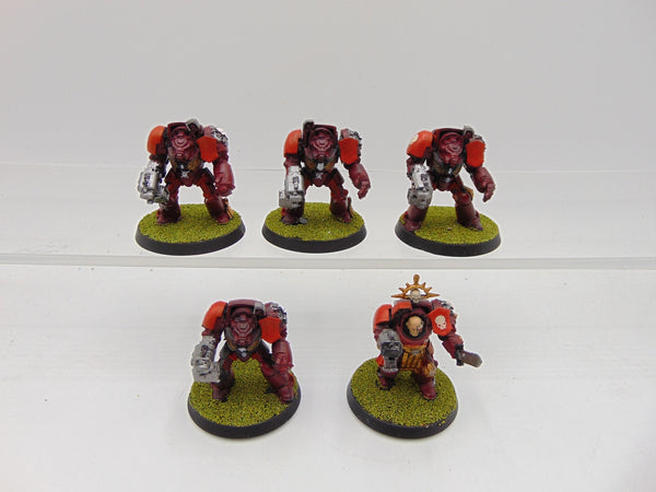 Terminator Squad