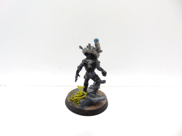 Culexus Assassin