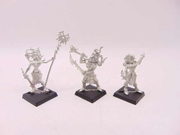 Witch Elf with Standard & Musician