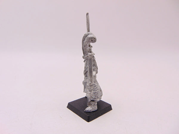 High Elf Archer Champion