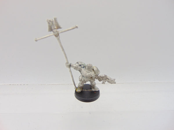 Company Ancient / Standard Bearer
