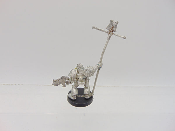 Company Ancient / Standard Bearer