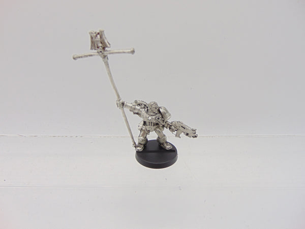 Company Ancient / Standard Bearer