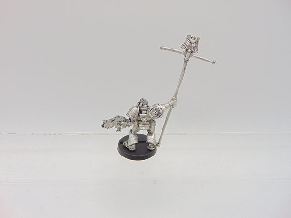 Company Ancient / Standard Bearer