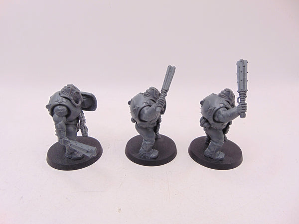 Bullgryns
