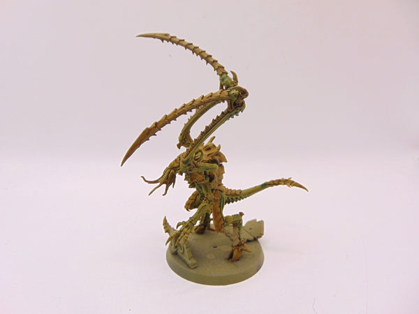 Lictor
