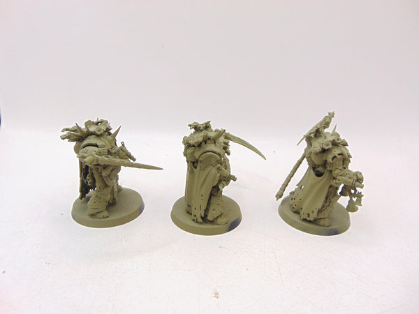 Deathshroud Bodyguard