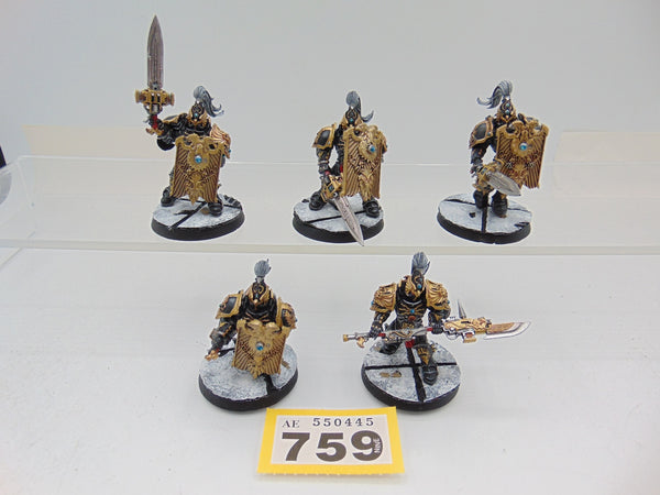 Custodian Guard Squad