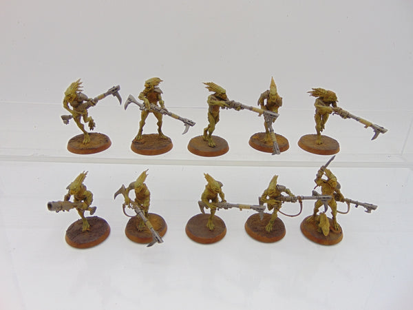 Kroot Carnivores