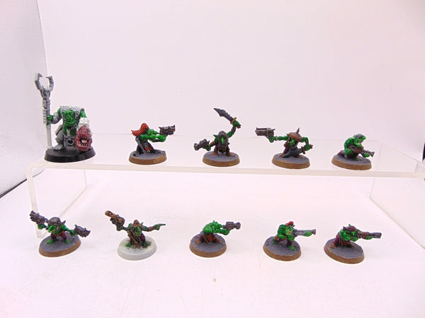 Gretchin & Runtherd