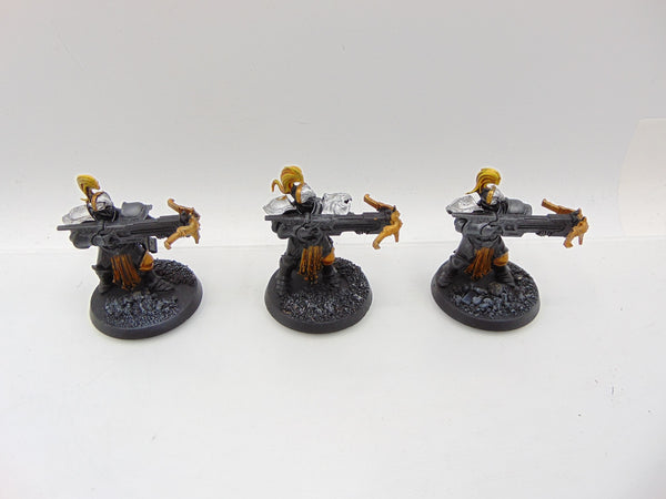 Vanguard Raptors