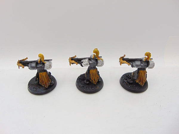 Vanguard Raptors