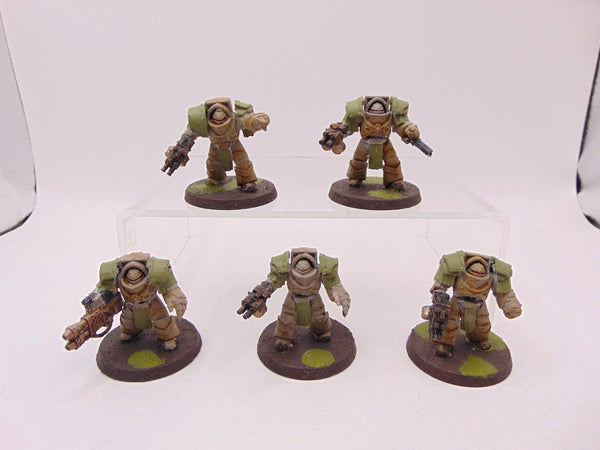 Cataphractii Terminator Squad