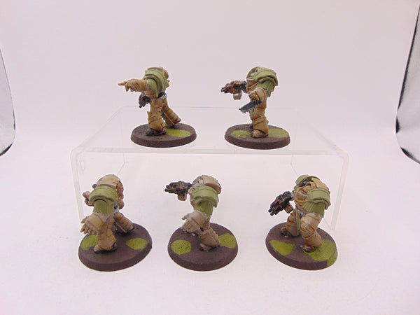 Cataphractii Terminator Squad