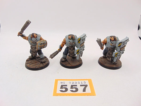 Bullgryns