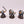 Bullgryns