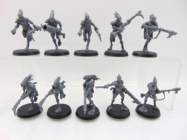 Kroot Carnivores
