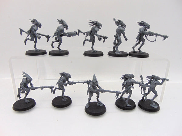Kroot Carnivores