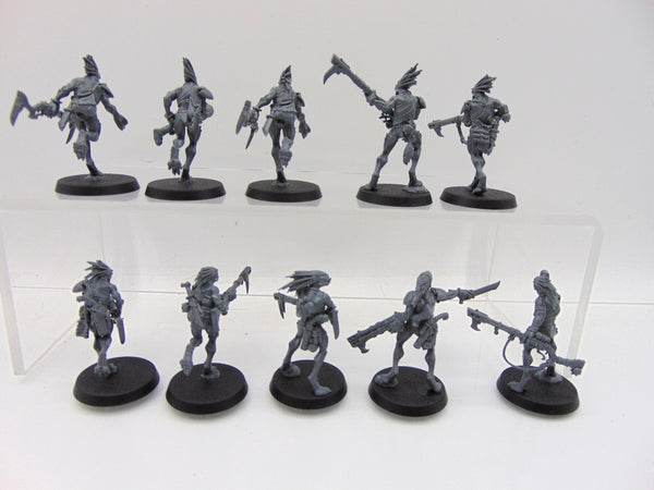 Kroot Carnivores