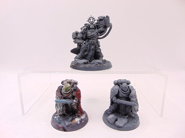Marneus Calgar with Victrix Honour Guard