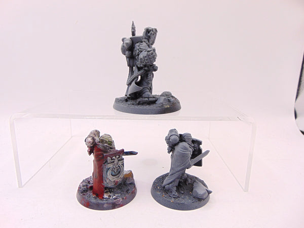 Marneus Calgar with Victrix Honour Guard