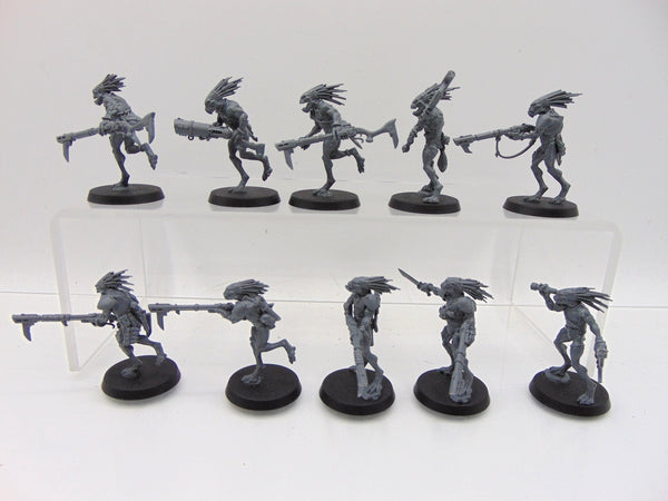Kroot Carnivores