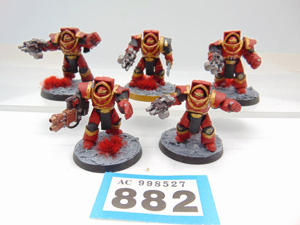 Cataphractii Terminator Squad