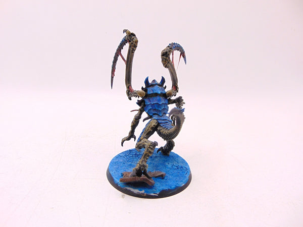 Lictor