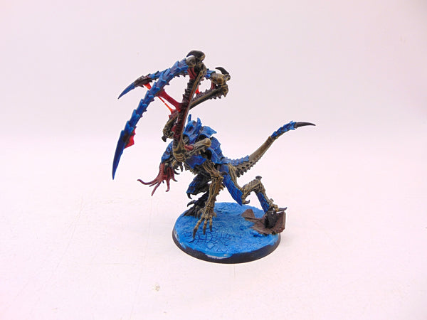 Lictor