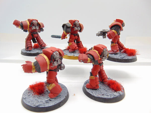 Cataphractii Terminator Squad