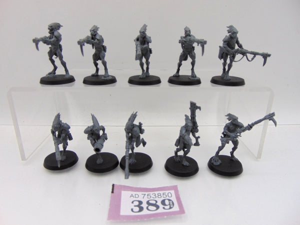 Kroot Carnivores