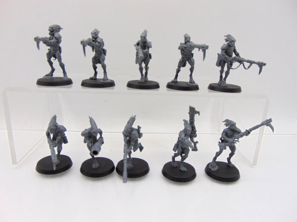 Kroot Carnivores