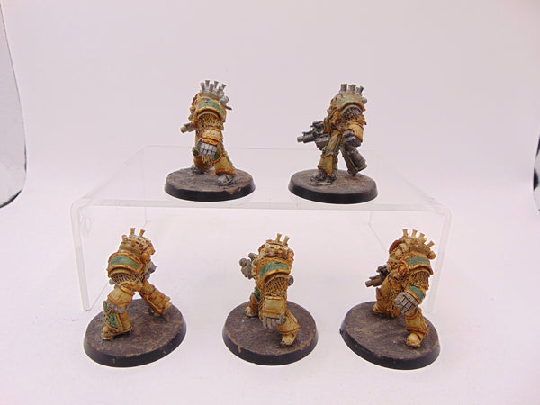 Grave Warden Terminator Squad