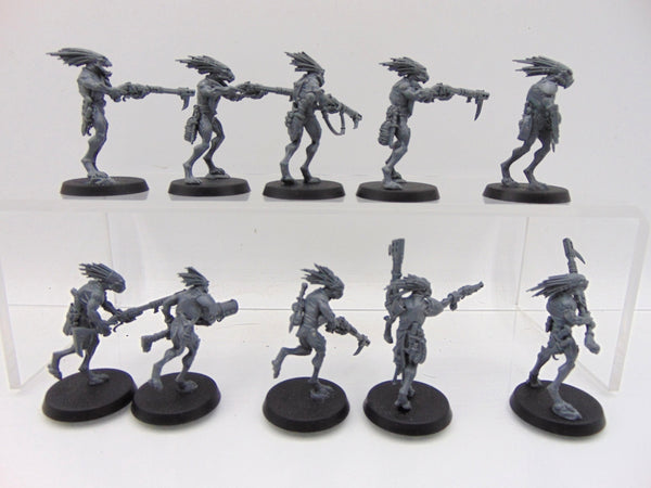 Kroot Carnivores