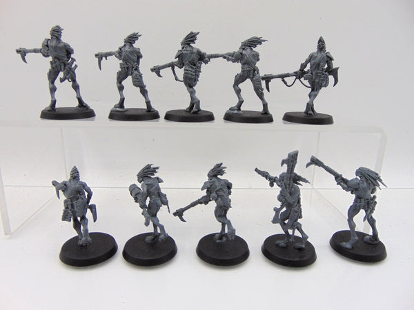 Kroot Carnivores