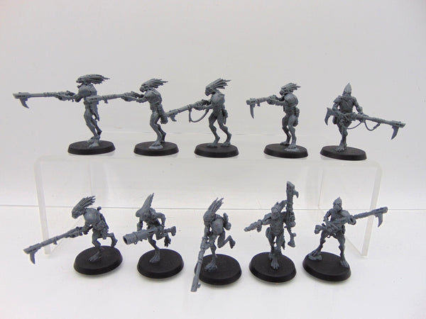 Kroot Carnivores
