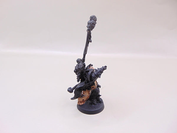 Nurgle Sorcerer / Necrosius the Undying